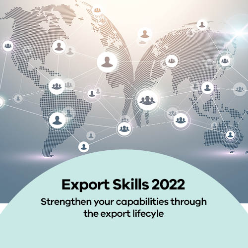 Export Skills Banner