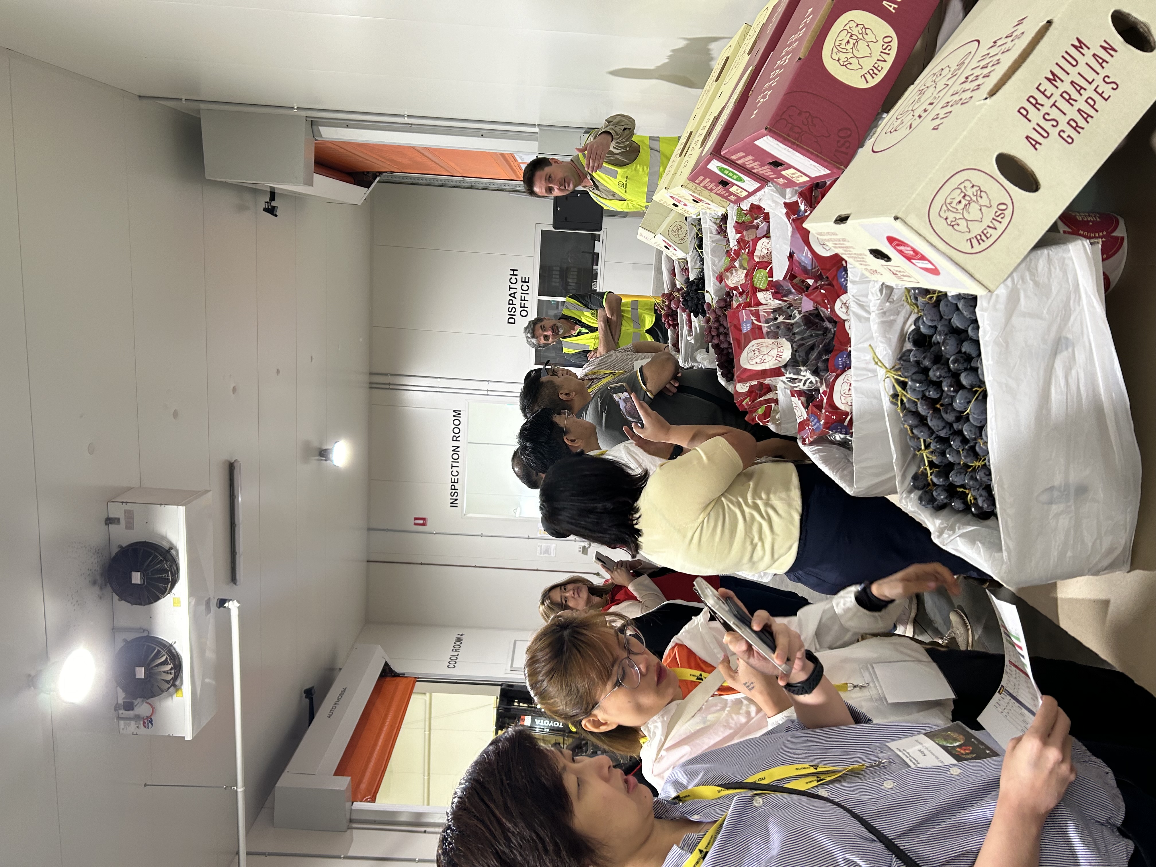 Buyers inspect grapes on display