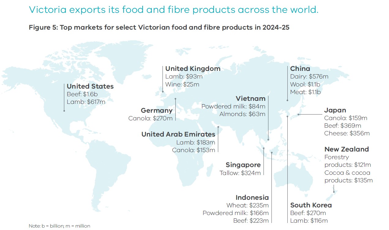 Top markets for select Victorian food and fibre products 2024-25 A world map showing top markets for select Victorian food and fibre products in 2024–25. Key export destinations include: United States (beef $1.6b, lamb $617m), United Kingdom (lamb $93m, wine $25m), Germany (canola $270m), United Arab Emirates (lamb $183m, canola $153m), Vietnam (powdered milk $84m, almonds $63m), Singapore (tallow $324m), Indonesia (wheat $235m, powdered milk $166m, beef $223m), China (dairy $576m, wool $1.1b, meat $1.1b), Japan (canola $159m, beef $369m, cheese $356m), New Zealand (forestry products $121m, cocoa and cocoa products $135m), and South Korea (beef $270m, lamb $116m).