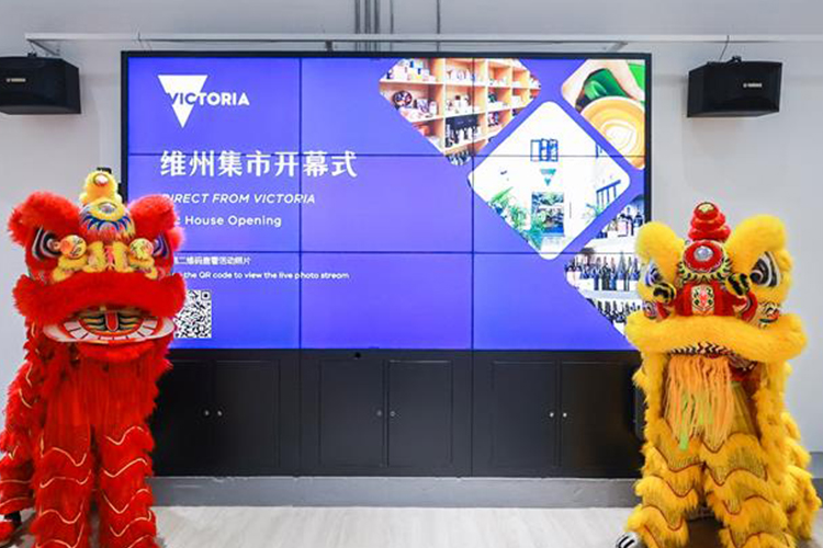 Two traditional Chinese lion costumes stand either side of the official Vic House opening sign
